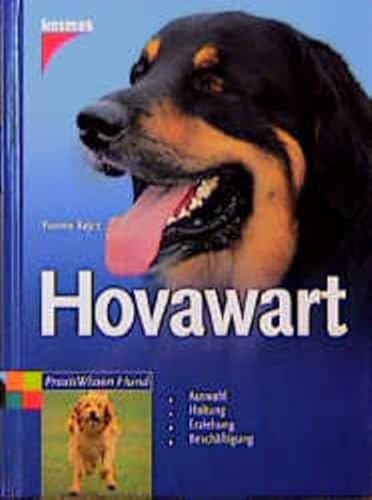 Hovawart.