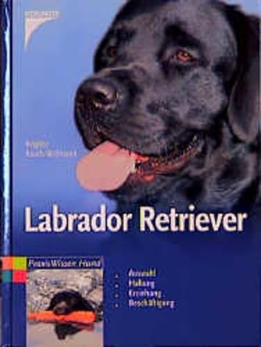 Beispielbild fr Labrador Retriever. zum Verkauf von Ammareal