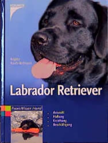 Labrador Retriever. Auswahl, Haltung, Erziehung, Beschäftigung.