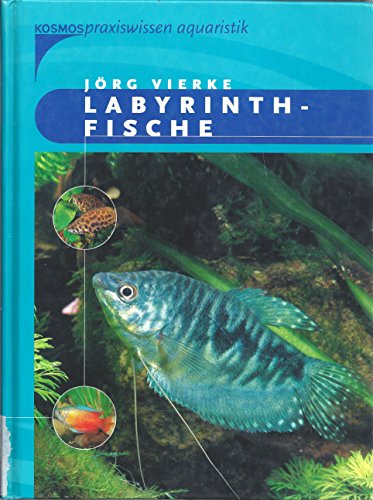 Beispielbild fr Labyrinthfische zum Verkauf von medimops