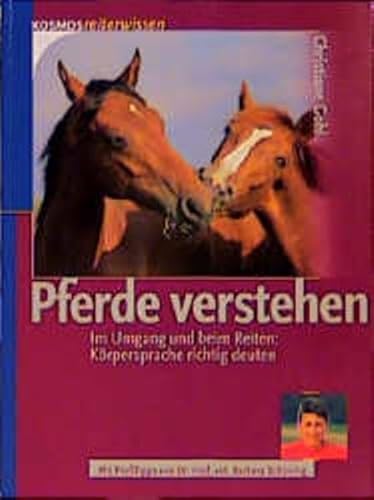 Pferde verstehen. Im Umgang und beim Reiten: Körpersprache richtig deuten