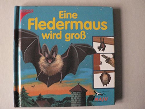Stock image for Eine Fledermaus wird gro for sale by medimops
