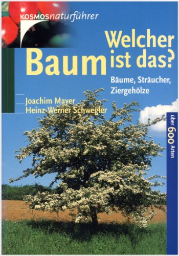 Stock image for Welcher Baum ist das? Bume, Strucher, Ziergehlze for sale by medimops