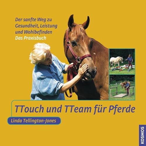 Beispielbild fr TTouch und TTeam fr Pferde: Das Praxisbuch.Der sanfte Weg zu Gesundheit, Leistung und Wohlbefinden zum Verkauf von medimops