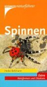 Stock image for Spinnen, die wichtigsten heimischen Arten. Extra: Netzformen und Eikokons for sale by medimops