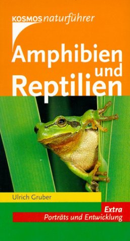 Stock image for Amphibien und Reptilien. Extra: Porträts und Entwicklung. for sale by ThriftBooks-Dallas