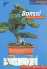 Beispielbild fr Bonsai Schritt fr Schritt zum Verkauf von medimops