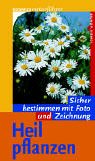 Imagen de archivo de Heilpflanzen. Sicher bestimmen mit Foto und Zeichnung. a la venta por ThriftBooks-Dallas