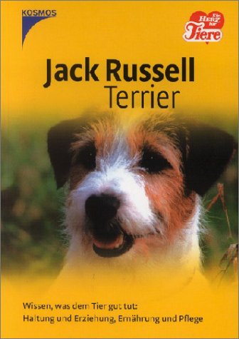 Jack Russell Terrier