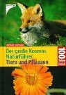 Der große Kosmos Naturführer Tiere und Pflanzen - Stichmann, Wilfried