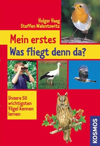 Stock image for Mein erstes Was fliegt denn da? for sale by WorldofBooks