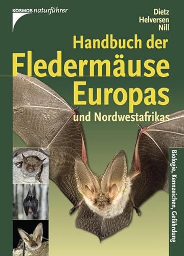 Beispielbild fr Handbuch der Fledermuse Europas und Nordwestafrikas: Biologie, Kennzeichen, Gefhrdung zum Verkauf von medimops