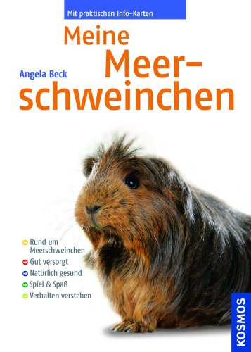 Stock image for Meine Meerschweinchen for sale by Gabis Bcherlager