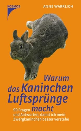 Stock image for Warum das Kaninchen Luftsprnge macht for sale by medimops