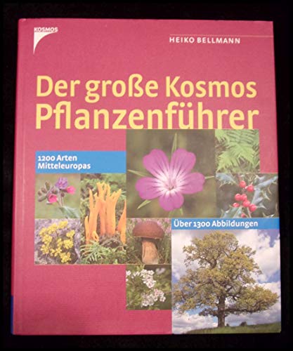 Stock image for Der groe Kosmos Pflanzenfhrer: 1200 Arten Mitteleuropas for sale by medimops