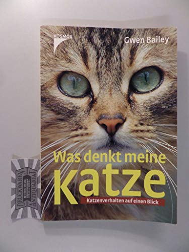 Was denkt meine Katze?: Katzenverhalten auf einen Blick - Bailey, Gwen