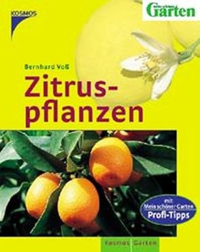 Zitruspflanzen - Voß, Bernhard