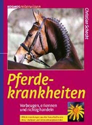 Stock image for Pferdekrankheiten for sale by BuchZeichen-Versandhandel