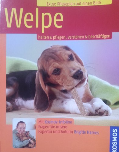 Imagen de archivo de Welpe: Halten & Pflegen, Verstehen & Beschäftigen a la venta por ThriftBooks-Dallas