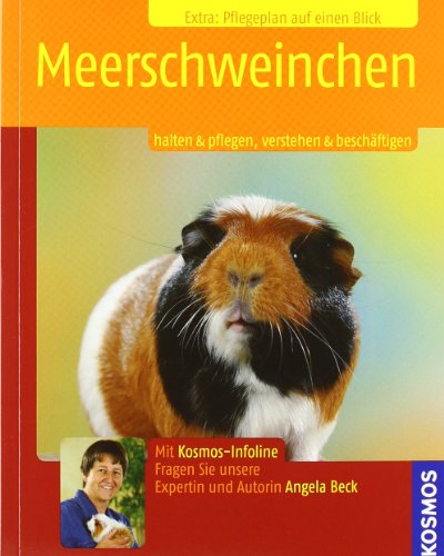 Beispielbild fr Meerschweinchen: Halten & Pflegen, Verstehen & Beschftigen zum Verkauf von medimops