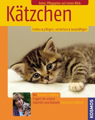9783440103920: Ktzchen: Halten & Pflegen, Verstehen & Beschftigen