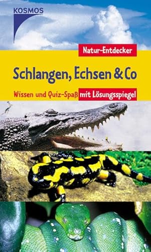 Beispielbild fr Schlangen, Echsen & Co. Natur-Entdecker: Wissen und Quiz-Spass mit Lsungsspiegel zum Verkauf von medimops