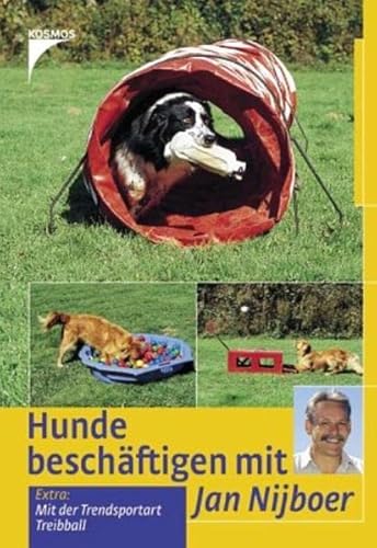 Beispielbild fr Hunde beschftigen mit Jan Nijboer zum Verkauf von BuchZeichen-Versandhandel