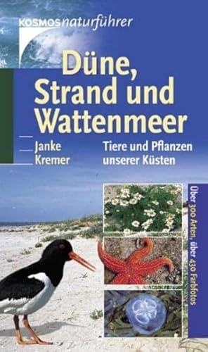 Stock image for Dne, Strand und Wattenmeer for sale by Versandantiquariat Felix Mcke