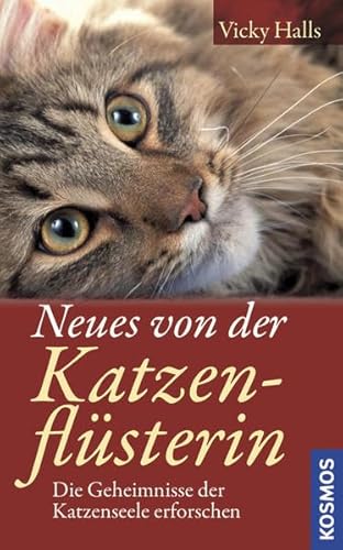 Stock image for Neues von der Katzenflsterin: Die Geheimnisse der Katzenseele erforschen for sale by medimops
