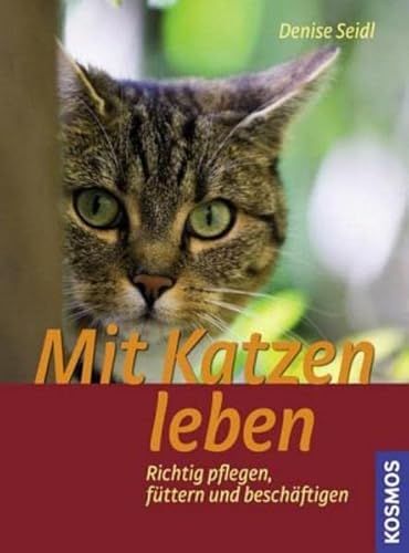 Stock image for Mit Katzen leben: Richtig pflegen, fttern und beschftigen for sale by medimops