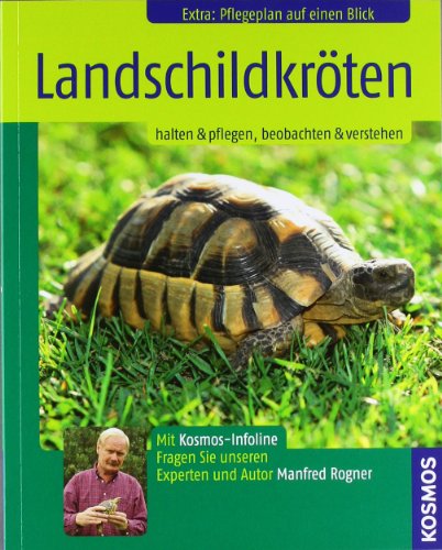 Stock image for Landschildkr�ten: Halten & pflegen, beobachten & verstehen