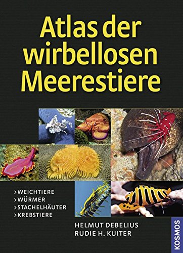 Imagen de archivo de Atlas der Meerestiere - Wirbellose. Weichtiere - Wrmer - Stachelhuter - Krebstiere a la venta por Antiquariat Bernhardt