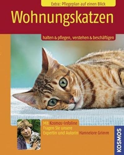 Stock image for Wohnungskatzen: Halten & pflegen, verstehen & beschftigen for sale by medimops