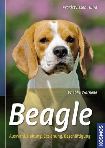 Beagle: Auswahl, Haltung, Erziehung, Beschäftigung (Praxiswissen Hund) - Warneke, Wiebke