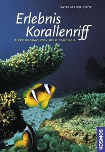 Beispielbild fr Erlebnis Korallenriff: Tiere beobachten beim Tauchen zum Verkauf von medimops