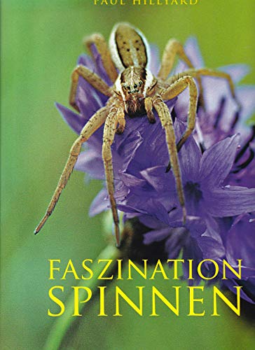 Stock image for Faszination Spinnen for sale by medimops