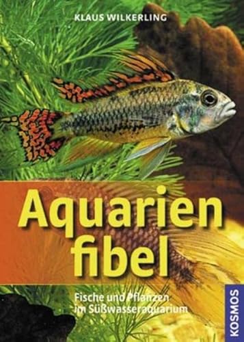 Stock image for Aquarienfibel: Fische und Pflanzen im Swasseraquarium for sale by medimops