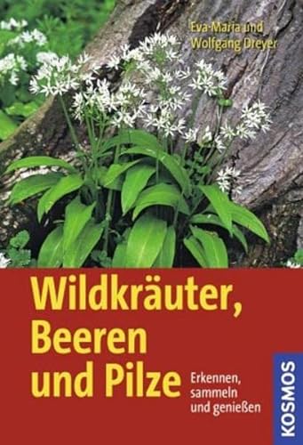 9783440114872: Wildkruter, Beeren und Pilze