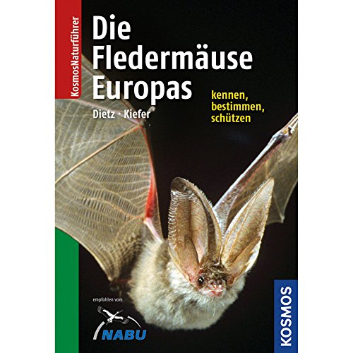 Stock image for Naturfhrer Fledermuse Europas: Alle Arten erkennen und sicher bestimmen for sale by medimops