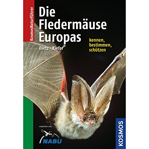 9783440115602: Naturfhrer Fledermuse Europas: Alle Arten erkennen und sicher bestimmen