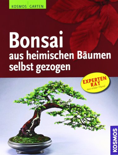 Beispielbild fr Bonsai aus heimischen Bumen selbst gezogen zum Verkauf von medimops