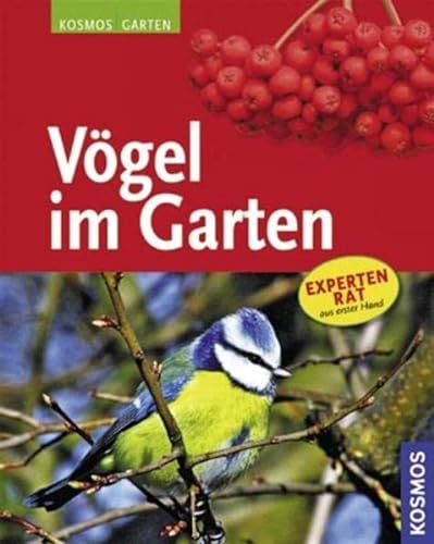 Stock image for Vgel im Garten for sale by medimops