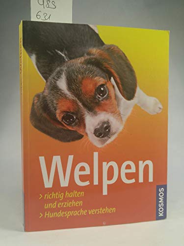 Imagen de archivo de Welpen: Richtig halten und erziehen, Hundesprache verstehen [Paperback] Lübbe, Perdita; Loup, Frauke and Sch ning, Barbara a la venta por tomsshop.eu