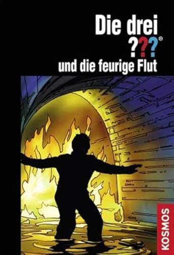 Beispielbild fr Die drei ??? und die feurige Flut (drei Fragezeichen): Erzhlt von Kari Erlhoff zum Verkauf von medimops