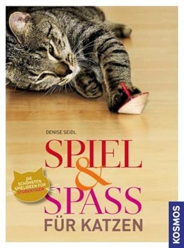 Stock image for Spiel & Spass fr Katzen: Die schnsten Spielideen fr Katzen for sale by medimops