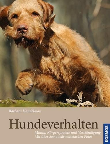 Hundeverhalten -Language: german