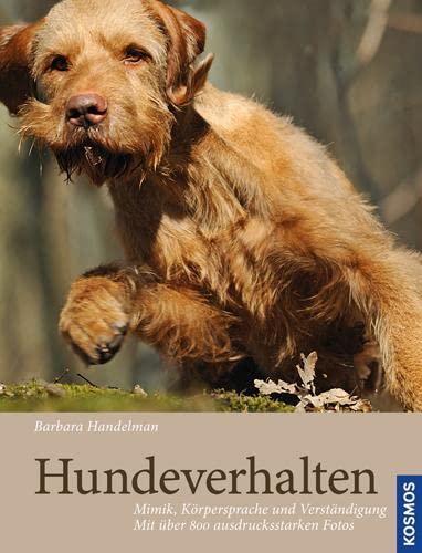 Stock image for Hundeverhalten: Mimik, Krpersprache Und Verstndigung for sale by Revaluation Books