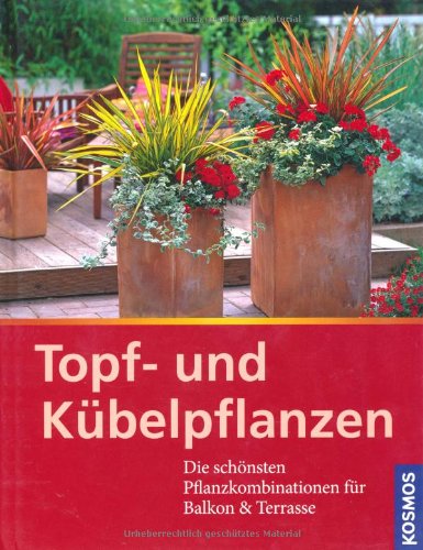 Stock image for Topf- und Kbelpflanzen: Die schnsten Pflanzkombinationen fr Balkon & Terrrasse for sale by medimops