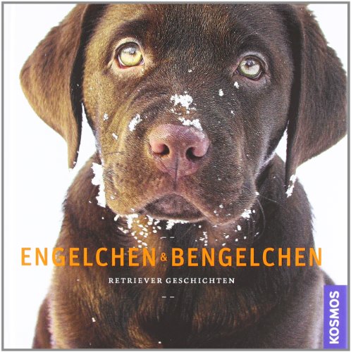 Stock image for Engelchen & Bengelchen: Retriever Geschichten for sale by medimops