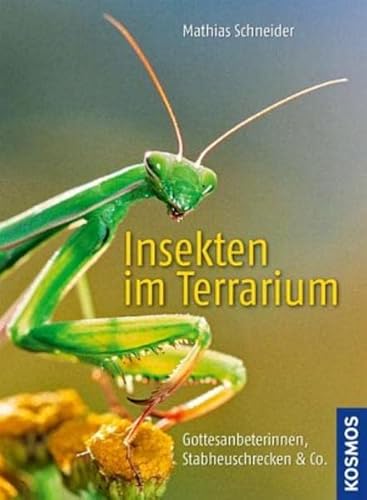 Beispielbild fr Insekten im Terrarium: Gottesanbeterinnen, Stabheuschrecken & Co zum Verkauf von medimops